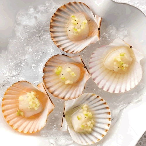Appetizers